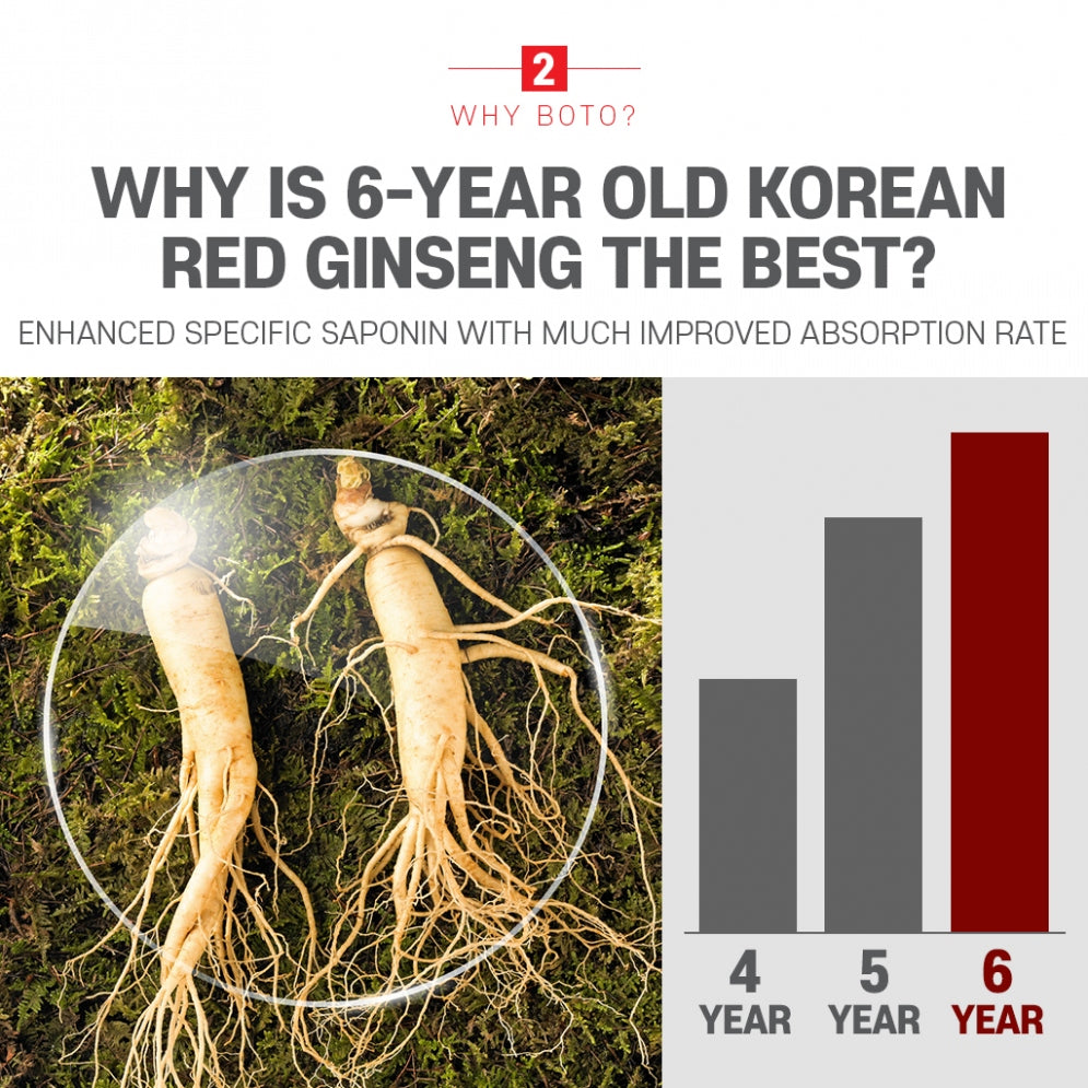 BOTO Korean Red Ginseng Extract